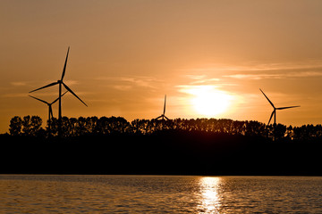 Windmills on the lake