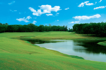 그린 골프링크스