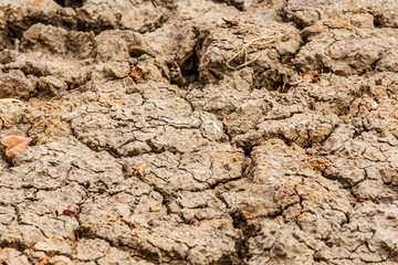 Closeup of dry soil.