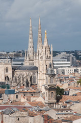 Fototapeta na wymiar Saint-Andre cathedral at Bordeaux, France