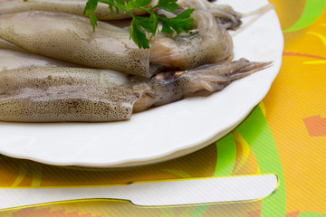 Fresh squid on the plate