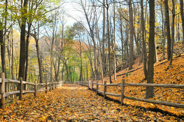 Autumn hiking trail