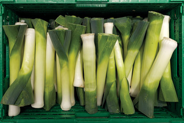 Green crate with leeks