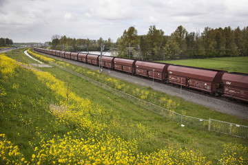 freight train in the Netherlands