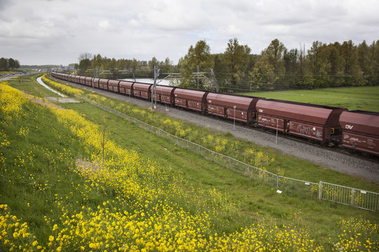 Fototapeta freight train in the Netherlands