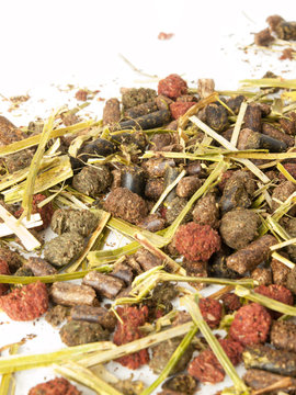 herbal natural muesli for horses. background © anakondasp