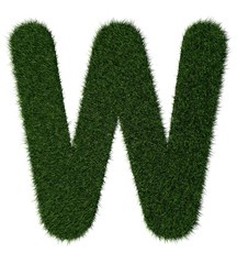 Grass alphabet-W