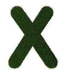 Grass alphabet-X