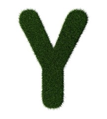 Grass alphabet-Y