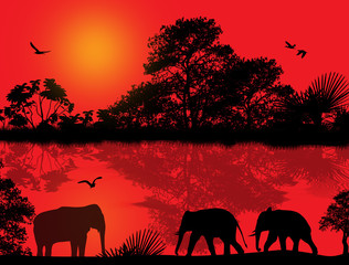 Naklejka na ściany i meble Elephants silhouette in africa