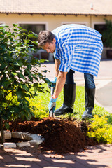 young man planting a shrub in home garden