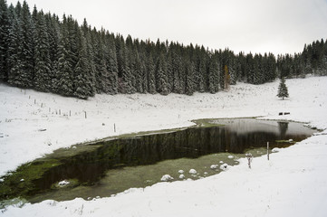 Kranjska dolina © jakazvan