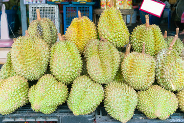 Durian , fruit in the market of thailand