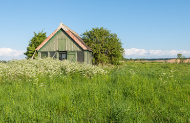 Obraz premium Old wooden barn overgrown with weeds