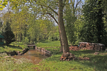 Forêt de Chantilly