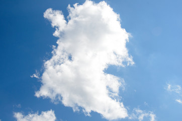 Fototapeta premium blue sky