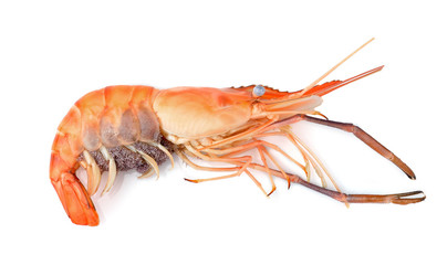Boiled shrimp isolated on white background