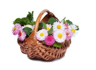 Fototapeta na wymiar bukiet kwiaty w koszyku, odizolowane na białym