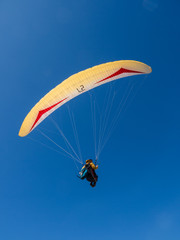 Paraglider