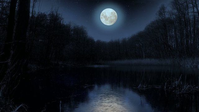 Moon over the lake at night