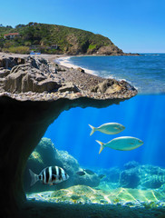 Fototapety na wymiar - Fototapeta24.pl