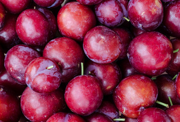 Ripe plums