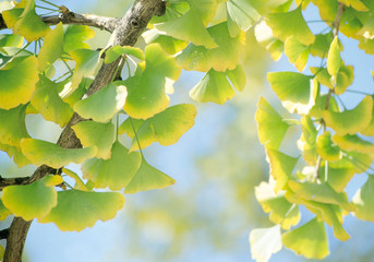 아름다운 계절의 변화