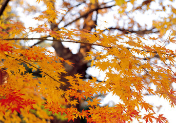 아름다운 계절의 변화