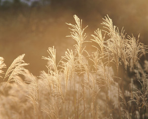 아름다운 계절의 변화