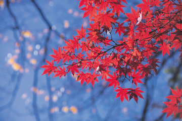 아름다운 계절의 변화