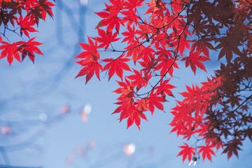 아름다운 계절의 변화