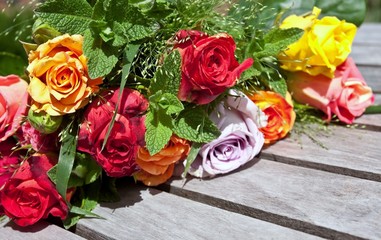 Bunte Rosen