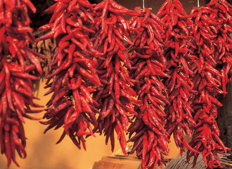 Naklejka premium 가을풍경