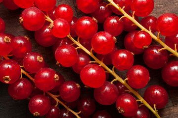 Red Currant