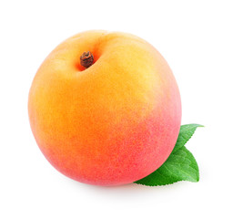 Isolated peach. One fresh peach or apricot fruit with leaf isolated on white background