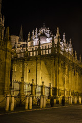 Fototapeta na wymiar The Cathedral of Seville by night, Seville, Spain.