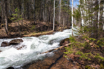 Stormy mountain river on the south of the Ural Mountains