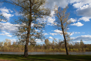 Obraz premium Sunny landscape of ural meadow