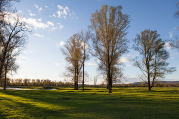Sunny landscape of ural meadow