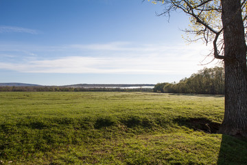 Sunny landscape of ural meadow