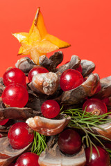 Fototapete bei efototapeten.de bestellen   