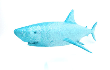 Squalo d'acqua, Sete, bevanda isotonica, splash, fatica