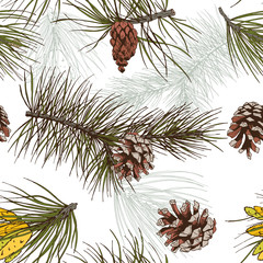 Pine branches colored seamless pattern