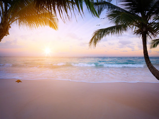 Art Beautiful sunrise over the tropical beach