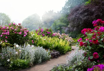 Crédence en verre imprimé Jardin Fleurs d& 39 art le matin dans un parc anglais