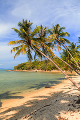 Naklejka na ściany i meble Coconut palm and Tropical beach