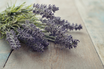 Bouquet lavender