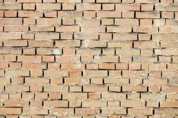 Obraz premium Old brick wall texture