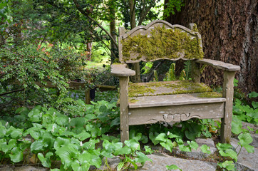 Old wooden chair in garden