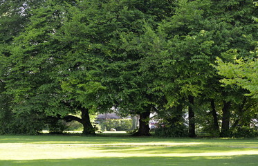 espace vert zurichois